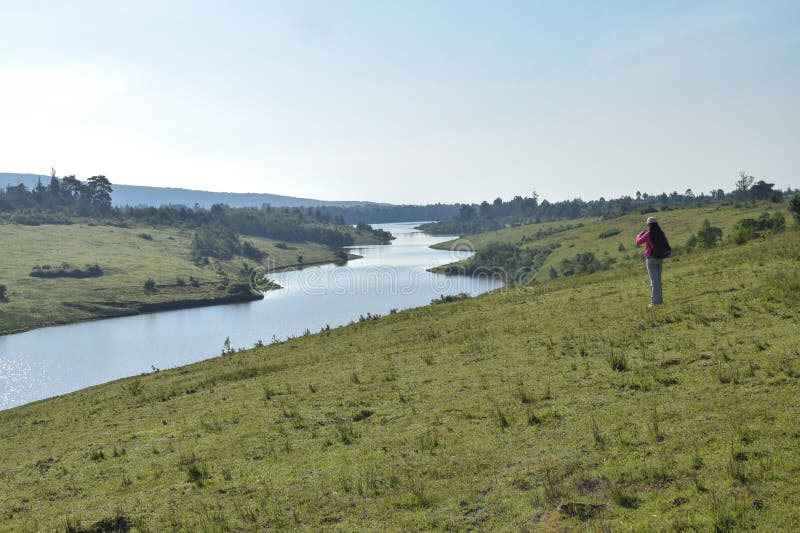 Hiker восхищая взгляд на лесе Ragia, Aberdare выстраивает в ряд, Кения стоковое фото