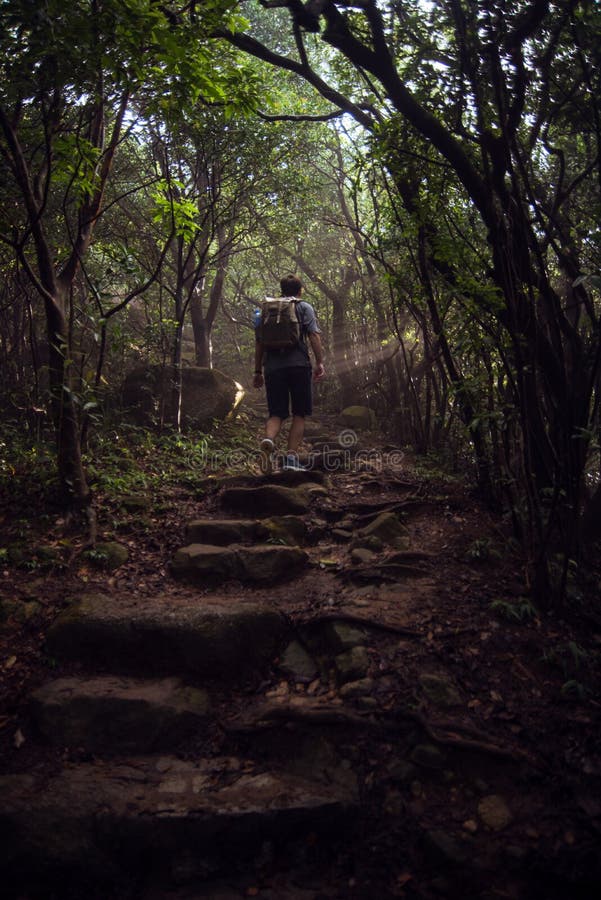 Hiker и лучи солнца стоковые фотографии rf Hiker и лучи солнца стоковые фотографии rf