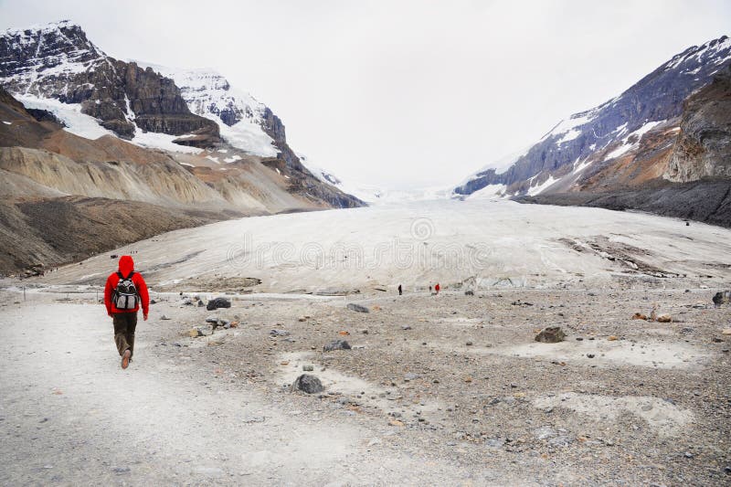 Hiker на леднике Athabasca стоковые фотографии rf