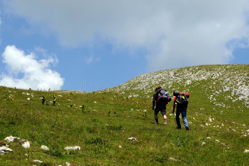 Hikers