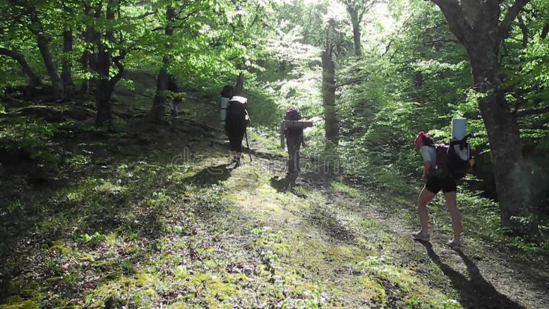 Hikers group trekking in Crimea