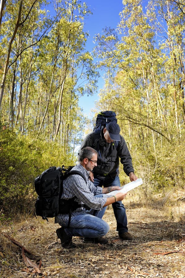 Hikers Who Study The Way Along A Path Nestled In The Forest