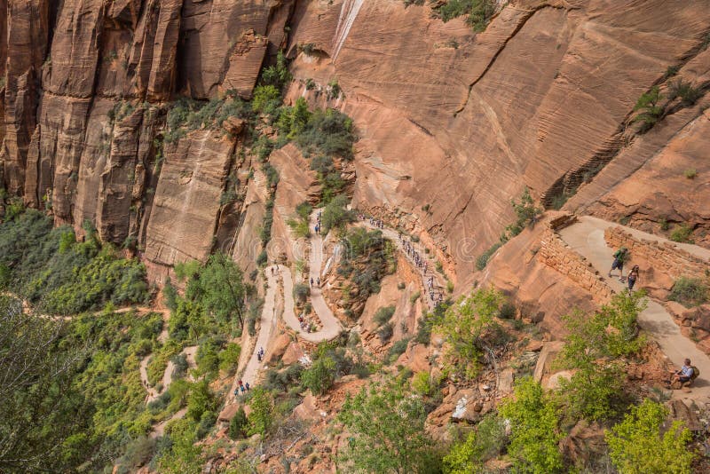 Hikers on the switchbacks of Angels Landing in Zion National Park