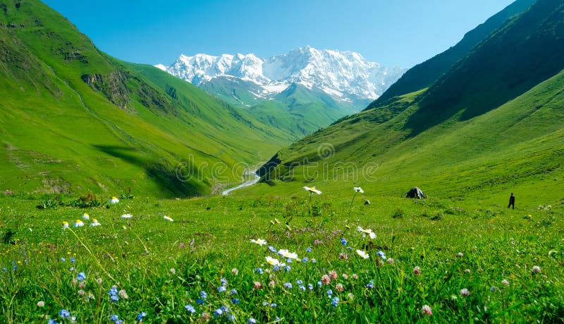 Hikers Tent Near Ushguli, Georgia. Stock Image - Image of high, enguri ...