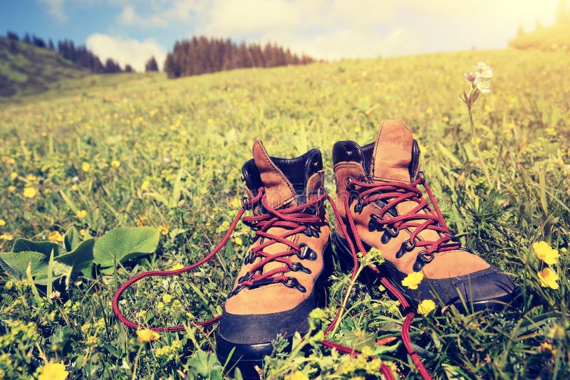 Hiking boots stock image. Image of flower, green, sports 76046555