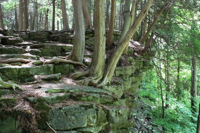 View hiking along the Bruce Trail in Ontario. View hiking along the Bruce Trail in Ontario