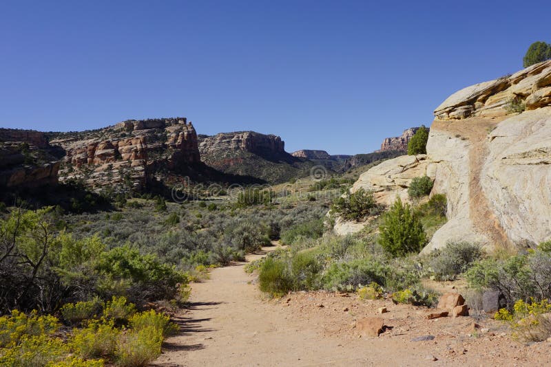 Devils Kitchen Trail in Colorado National Monument Stock Image Image