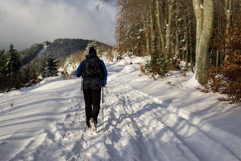 Pěší muž v lese pokrytý sněhem v zimě. Slovensko