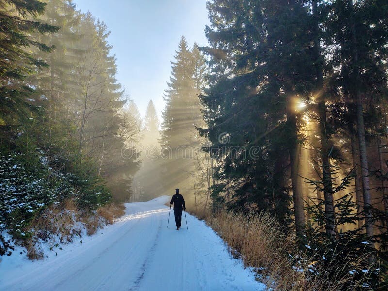 Hiking man in forest covered in snow during winter. Slovakia