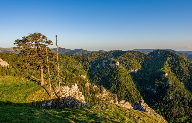 Hiking in mountains Velka Fatra in Slovakia. Beautiful view from Tlsta