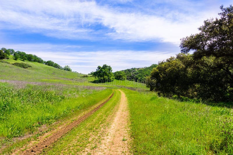 Hiking path on the hills of the newly opened Rancho San Vicente Open Space Preserve, part of Calero County Park, Santa Clara stock image Hiking path on the hills of the newly opened Rancho San Vicente Open Space Preserve, part of Calero County Park, Santa Clara stock image