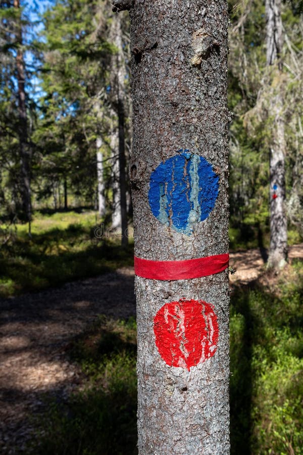Hiking route marks in Pilpasuo swamp in Oulu, Finland royalty free stock images