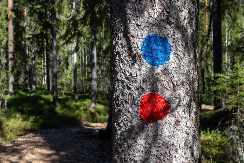 Hiking route marks in Pilpasuo swamp in Oulu, Finland stock images