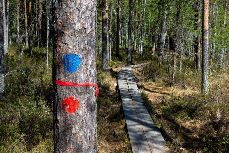 Hiking route marks in Pilpasuo swamp in Oulu, Finland stock images