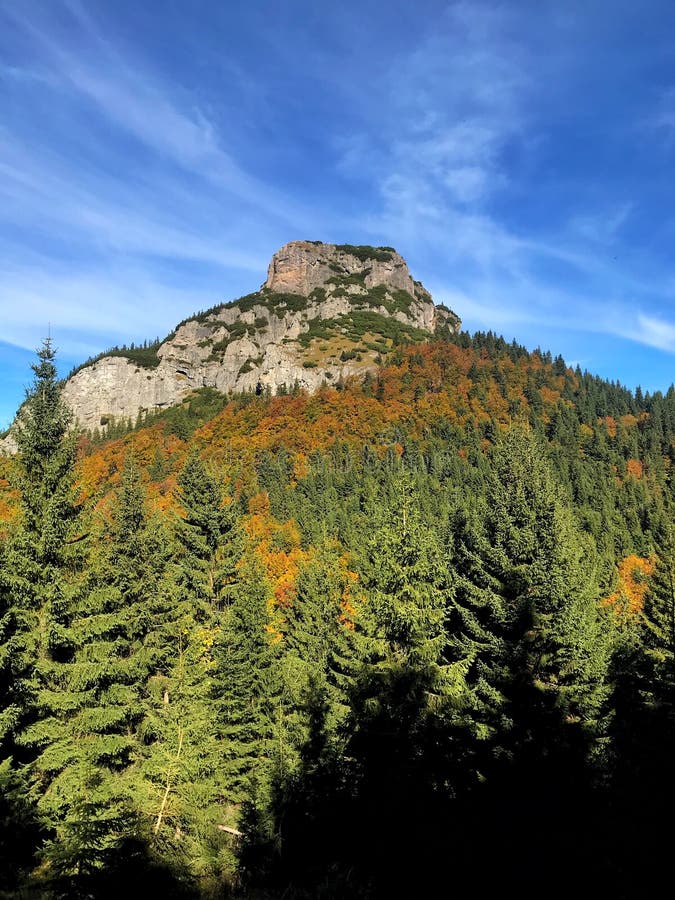 Mountain top in forest