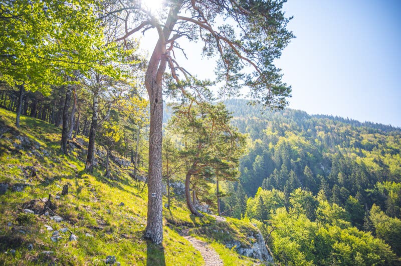 Turistika po slovenských horách. Pohled z kopců. Ostrá, Vrch tlsta, Velká Fatra. Slovensko.