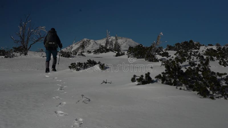 Hiking Through Snowy Mountain Terrain in Carpathians stock video