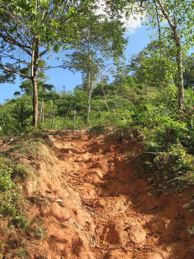 Hiking steep path royalty free stock photo
