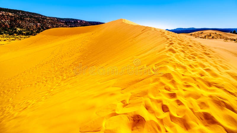 Hiking to the Top of one of the Sand Dunes in the Coral Pink Sand Dunes State Park, Utah