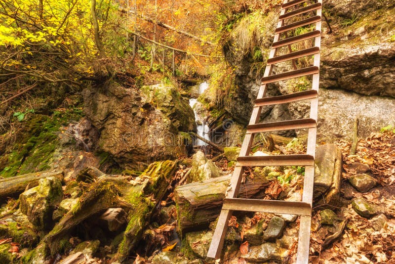 Turistická stezka v podzimním horském lese s vodopádem a žebříkem