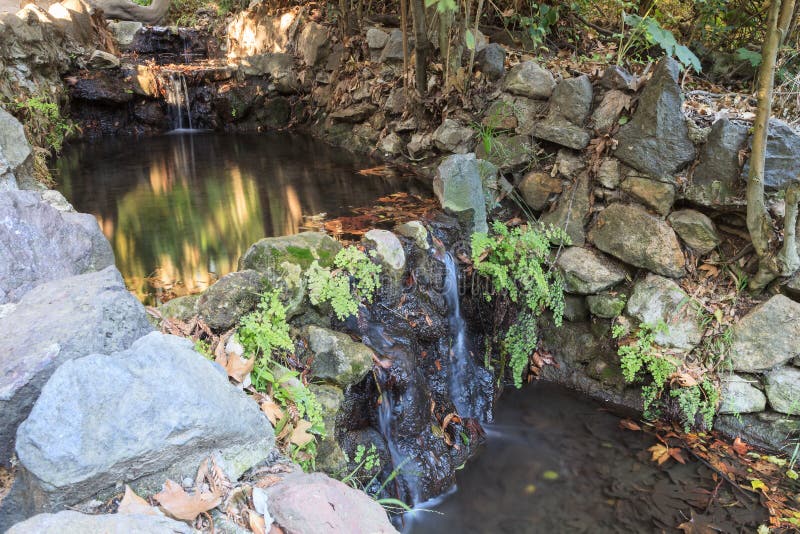 Ferndell Nature Museum hiking trail with ferns, small waterfalls and ponds in Los Angeles, California, United States