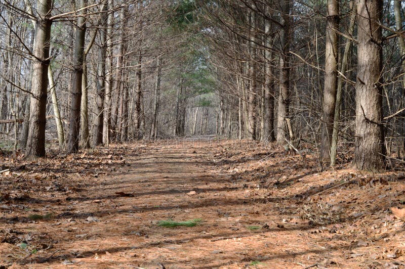 Hiking Trail stock photos Hiking Trail stock photos