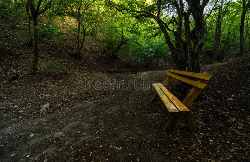 Turistika chodník na trasa korytnačka na je jeden z väčšina slávny zdravý trampové zjazdovky v, gruzínsko.