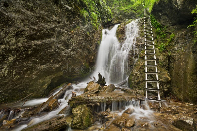 Hiking trail in a lush gorge in Slovensky Raj, Slovakia