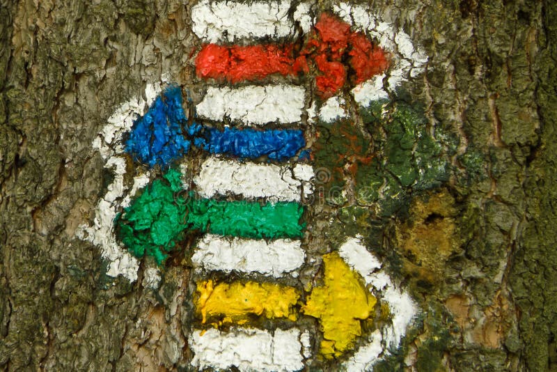 Hiking trail marks arrows on the tree