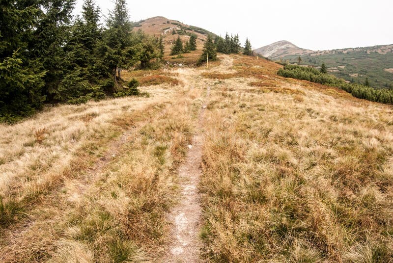 Turistická stezka na horské louce na podzim pohoří Malá Fatra na Slovensku