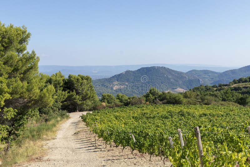 Hiking trail in the region of Mont Ventoux mountain and Dentelles de Montmirail chain of mountains