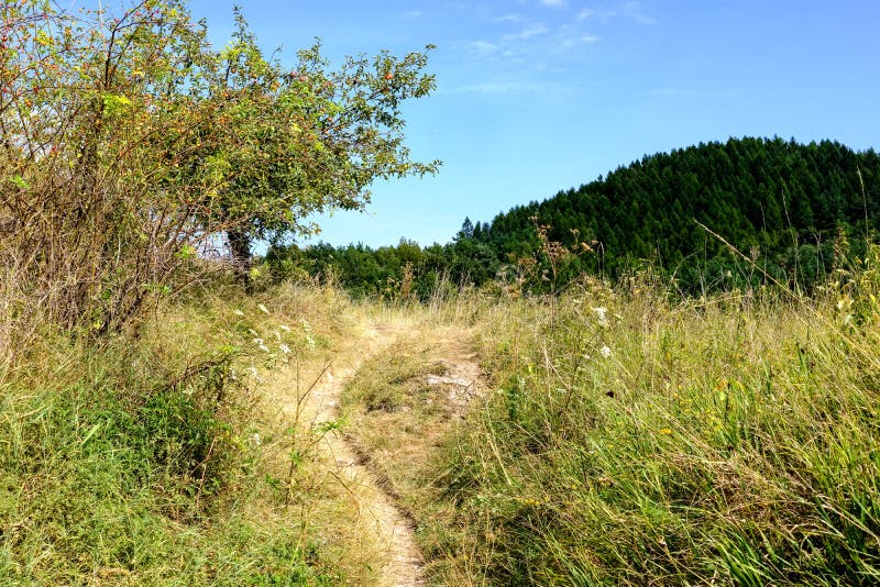 Hiking trail in tatra mountains in Slovakia