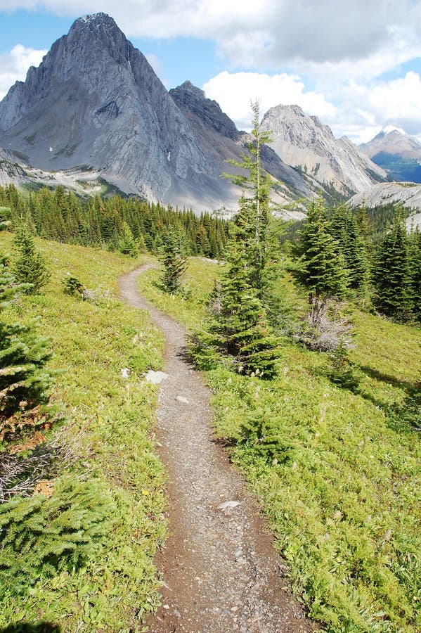 Hiking trail to mountains