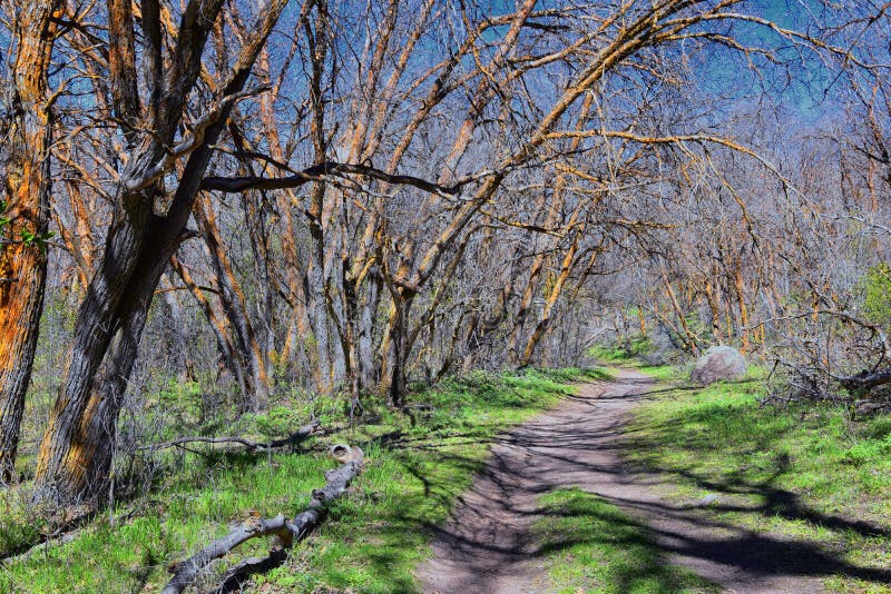 Hiking Trails in Oquirrh, Wasatch, Rocky Mountains in Utah Early Spring ...