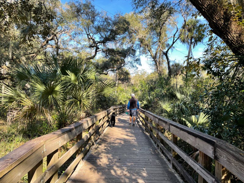The Hiking Trails at a State Park in Orlando, Florida Stock Image