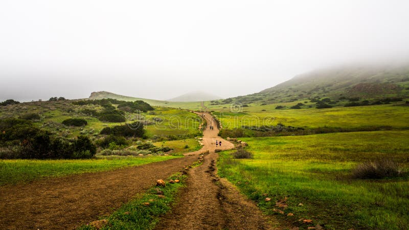 Hiking Trails at Wildwood Regional Park on a Foggy Day