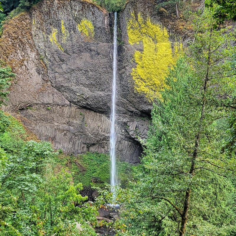 Hiking Views Around Cascade Locks Oregon Stock Photo Image of soil