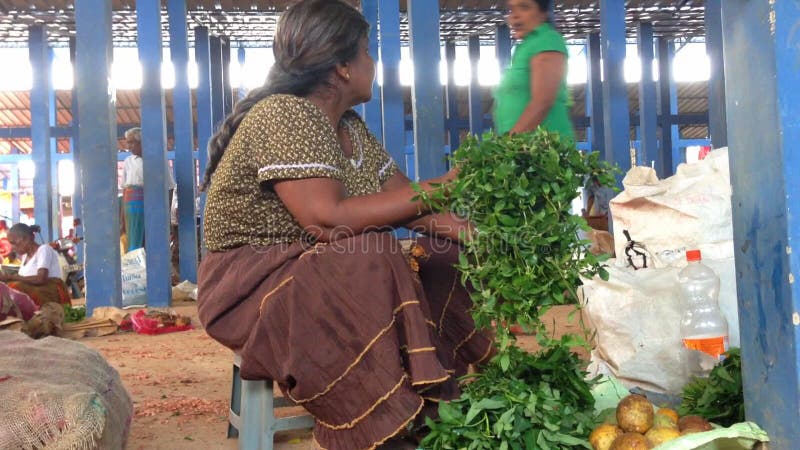 HIKKADUWA, ШРИ-ЛАНКА - ФЕВРАЛЬ 2014: Местная женщина сидя и продавая бакалеи на рынке Hikkaduwa Рынок Hikkaduwa воскресенья kn