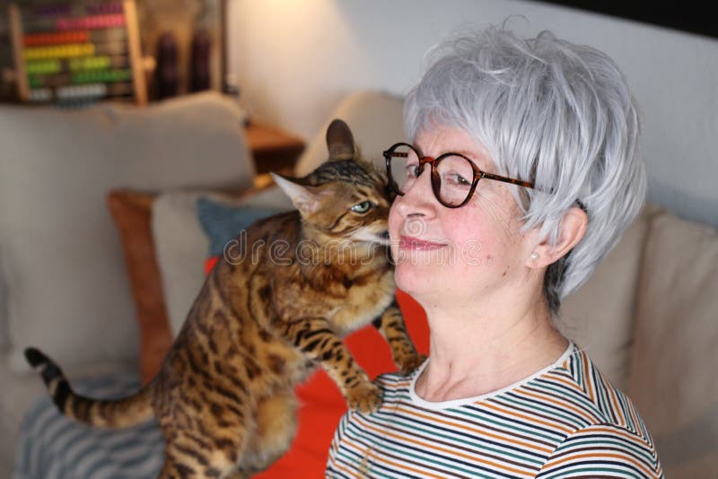 Hilarious cat talking to owner royalty free stock photography