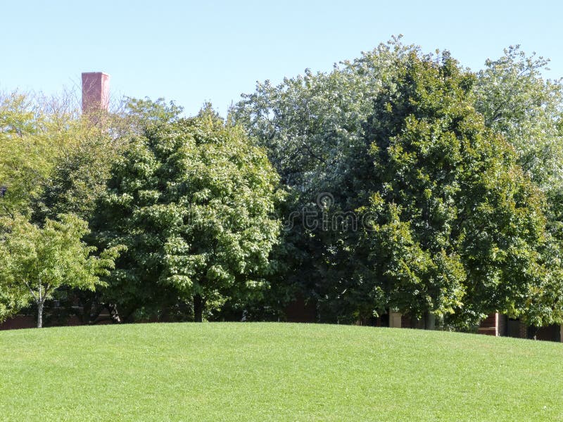 Hill with Fresh Cut Lawn stock photo. Image of garden 45443342