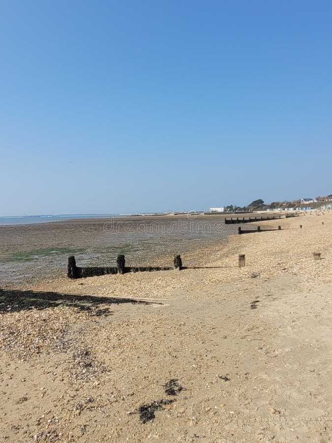 Hill Head on the Beach stock photo. Image of leaf, green 244348126