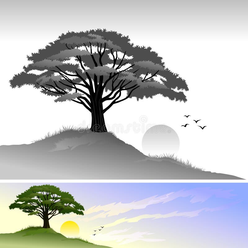 Hill Tree and Sun Landscape