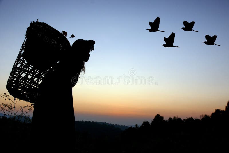 Hill tribe woman in sunset silhouette