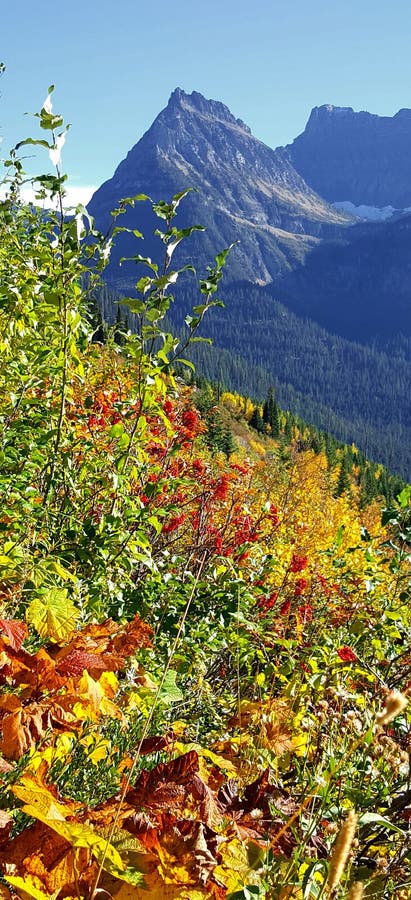The Hills are Alive with the Colors of Fall stock image The Hills are Alive with the Colors of Fall stock image