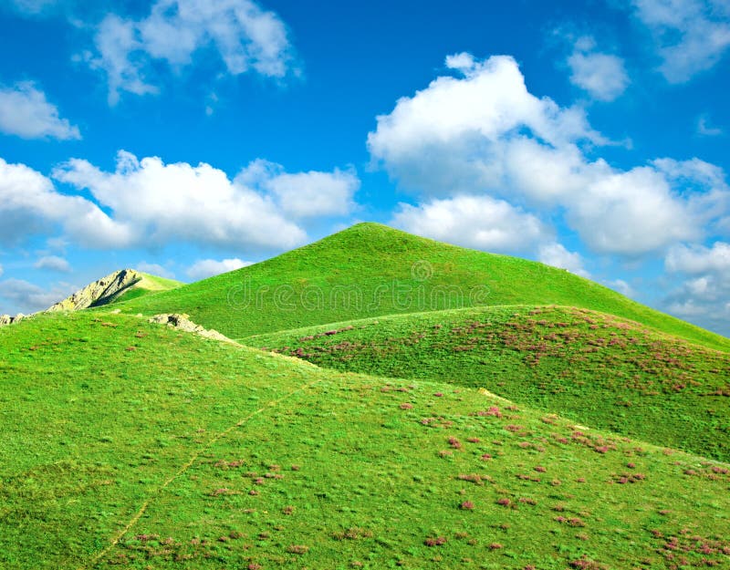 Hills covered with a grass stock photo. Image of landscaped 14969730