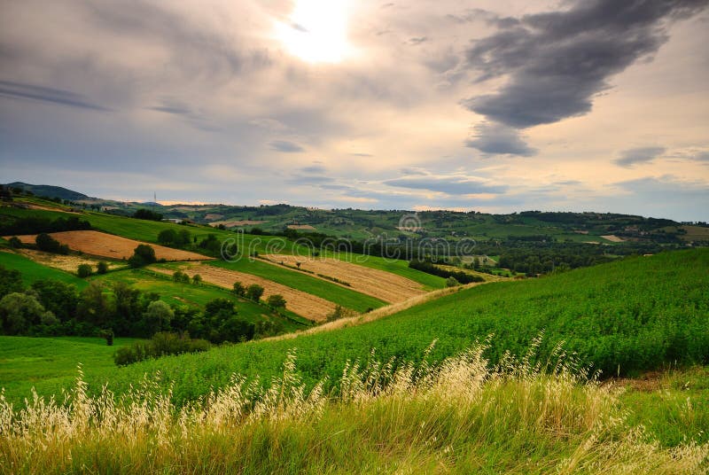 Hills and farms