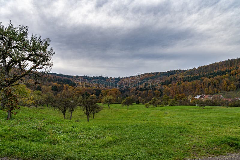 Hills and meadows near by the colorful forest stock photography