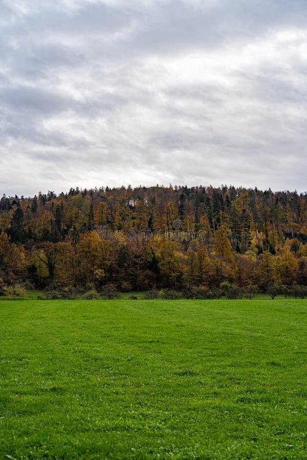 Hills and meadows near by the colorful forest stock images