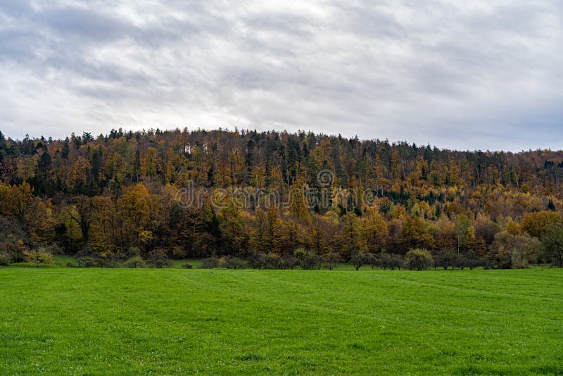 Hills and meadows near by the colorful forest stock photos