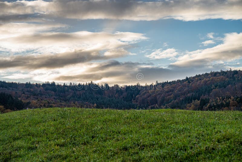 Hills and meadows near by the colorful forest stock images